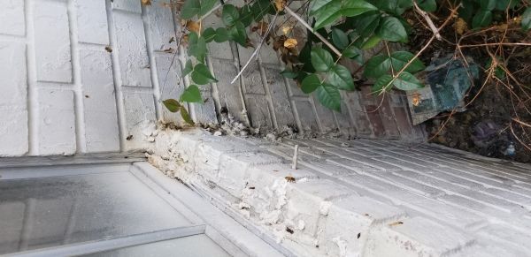 20180328_131215.jpg
