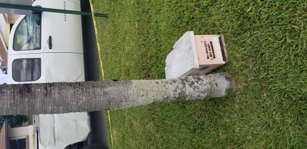 20180328_154346.jpg