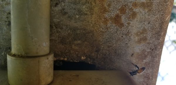 20180328_154724.jpg