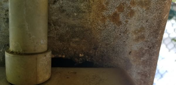 20180328_154725.jpg