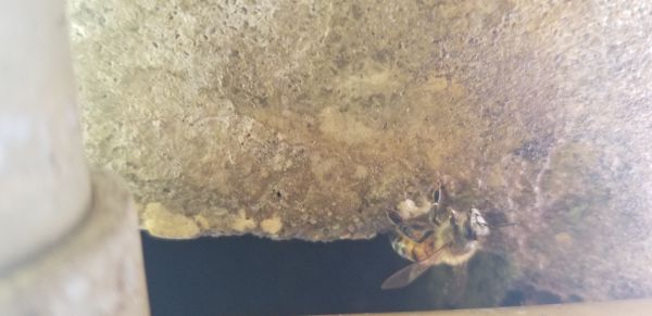 20180328_154731.jpg