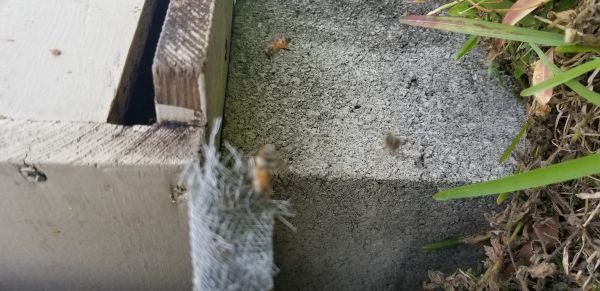 20180331_171122.jpg