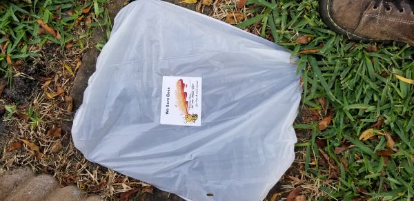 20180404_131734.jpg