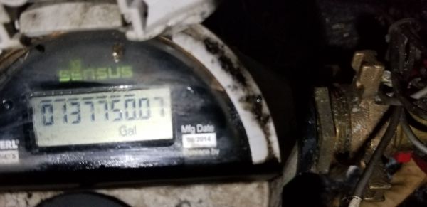 20180405_062614.jpg
