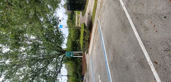 20180405_091235.jpg