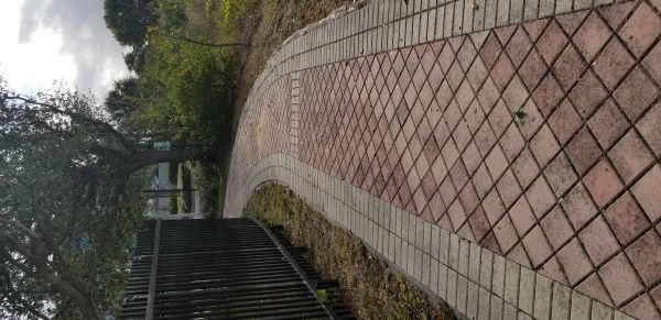 20180405_091312.jpg