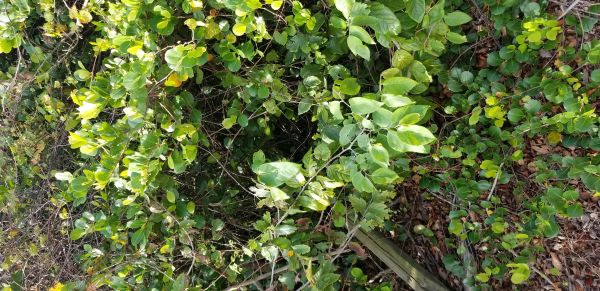 20180405_091429.jpg