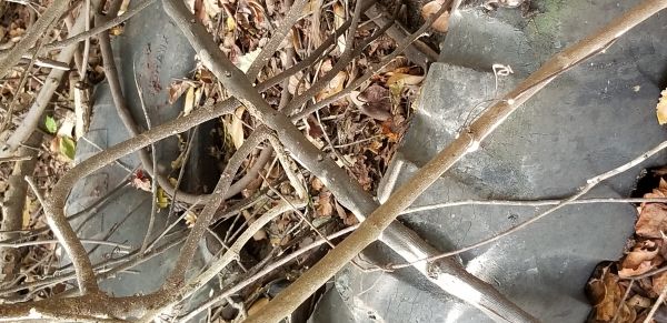 20180405_091632.jpg