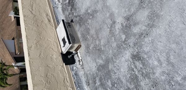 20180406_124517.jpg