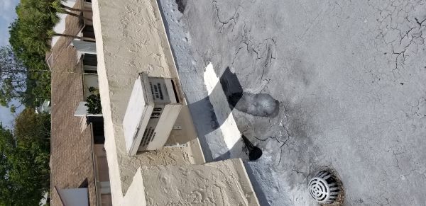 20180406_124559.jpg