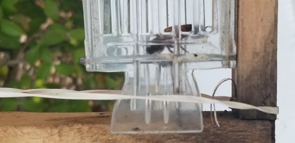 20180406_192136.jpg