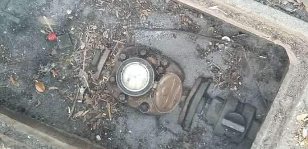 20180406_192607.jpg