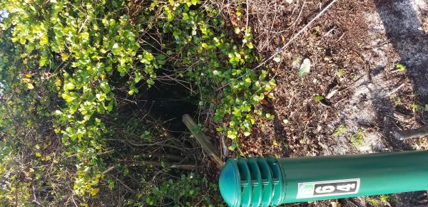 20180409_082715.jpg