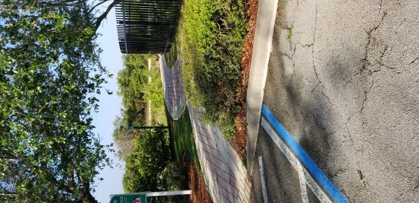 20180409_084614.jpg
