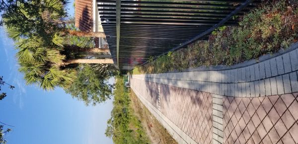 20180409_084627.jpg