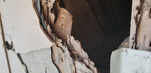 20180410_083847.jpg