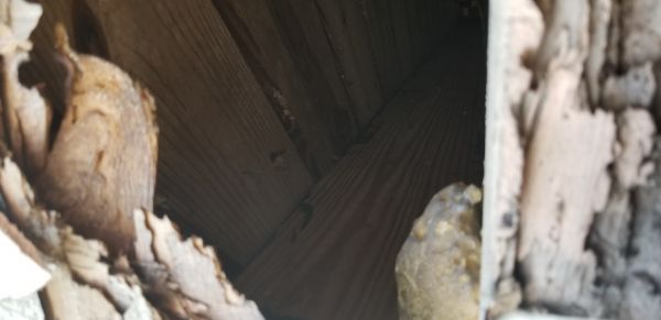 20180410_083850.jpg