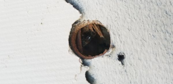 20180410_083904.jpg