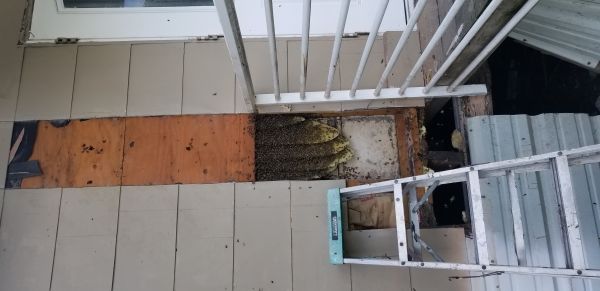 20180410_110105.jpg
