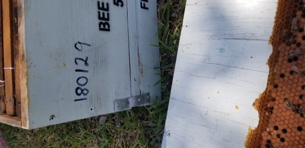 20180410_122628.jpg