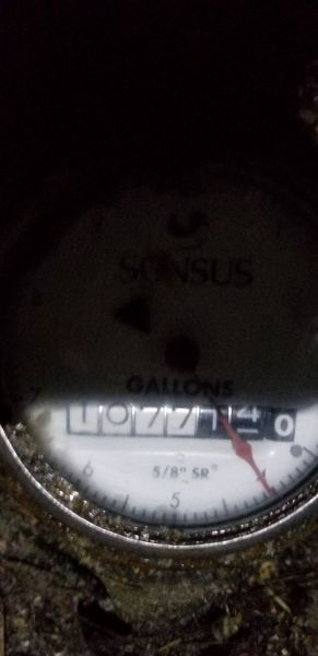 20180411_043124.jpg