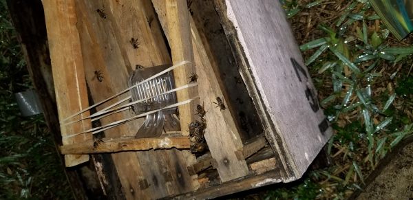 20180411_055207.jpg