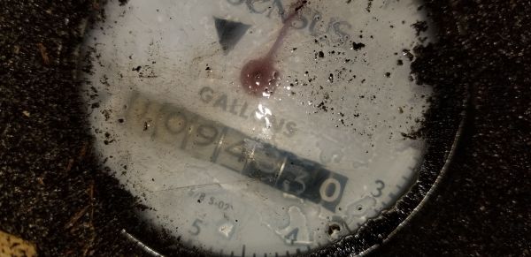 20180411_055800.jpg