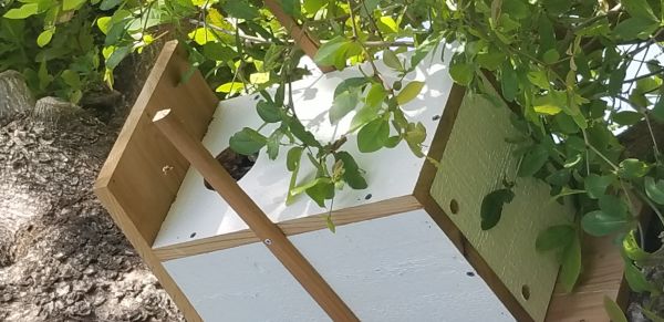 20180413_160357.jpg