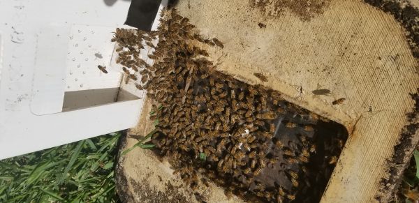 20180413_170447.jpg