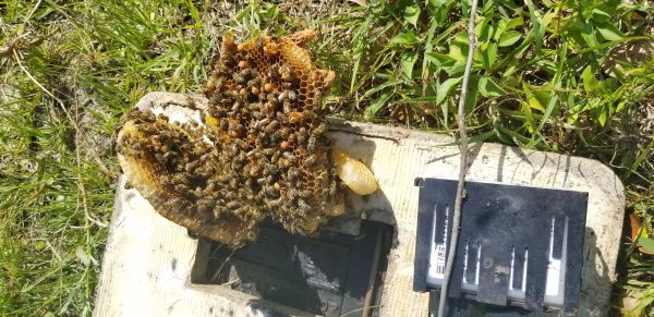 20180414_163801.jpg