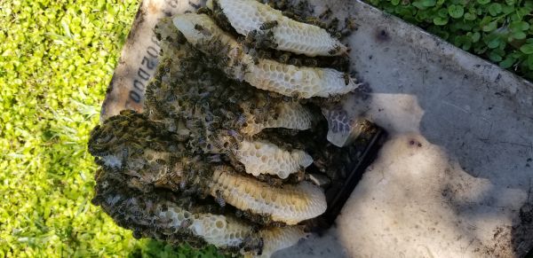 20180417_131459.jpg