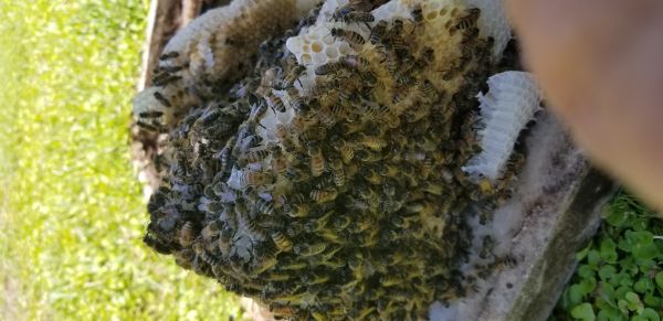 20180417_131556.jpg