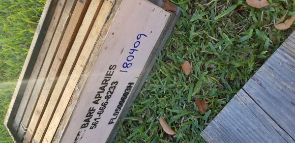 20180417_190347.jpg