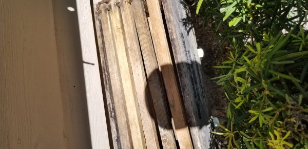 20180418_123945.jpg