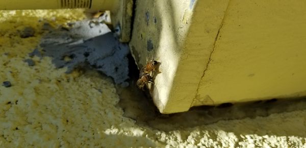 20180419_142204.jpg