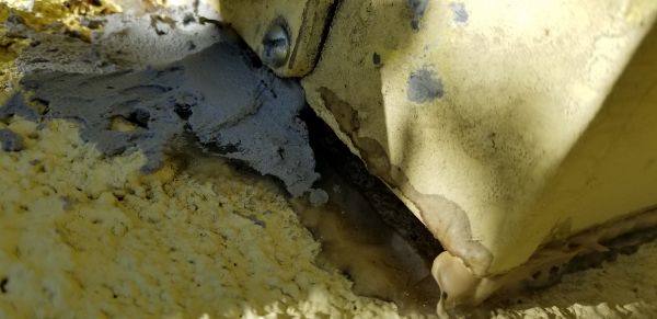 20180419_142914.jpg