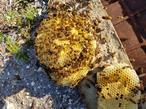 20180420_182248.jpg