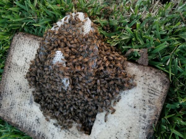 20180420_195757.jpg