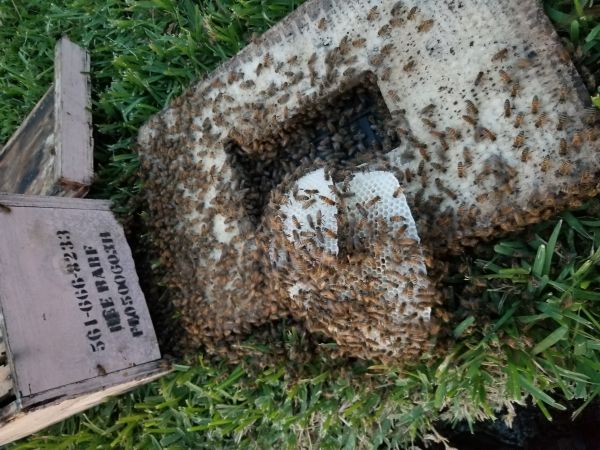 20180420_195957.jpg
