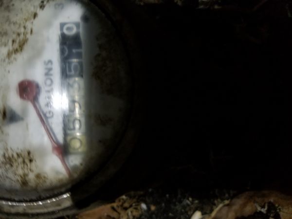 20180420_201034.jpg
