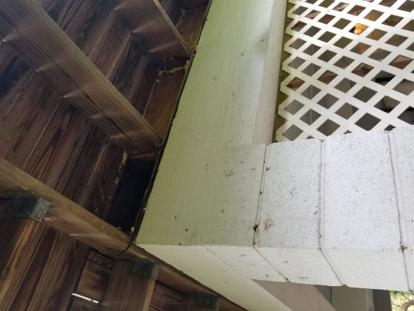 20180421_104029.jpg