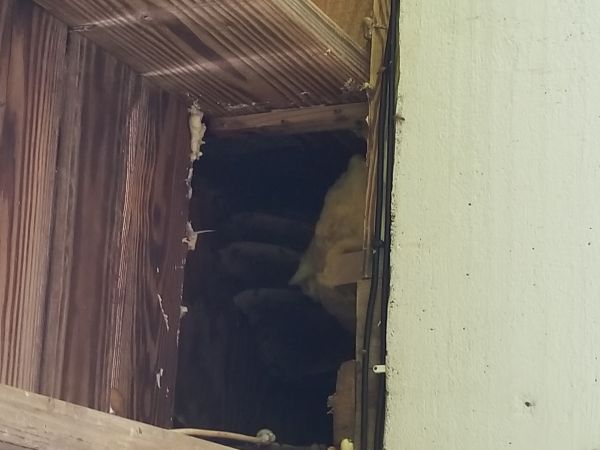 20180421_104220.jpg
