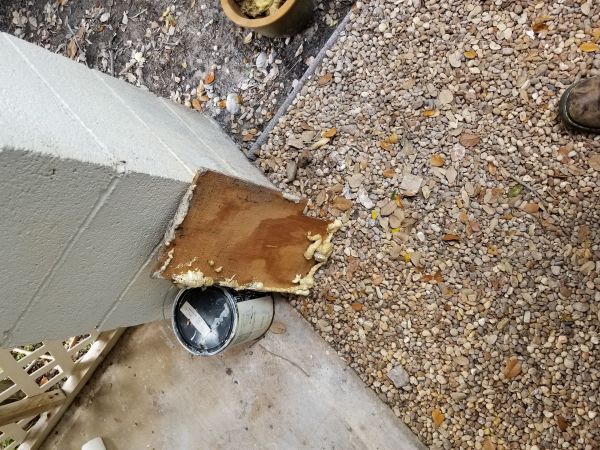 20180421_104350.jpg
