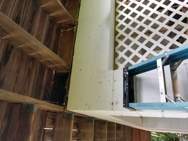 20180421_104356.jpg