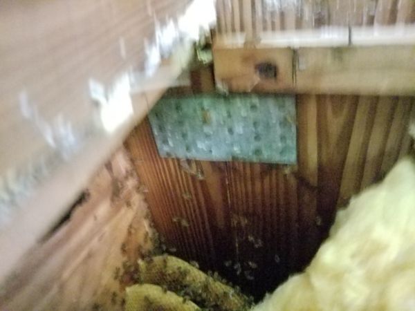 20180421_104447.jpg