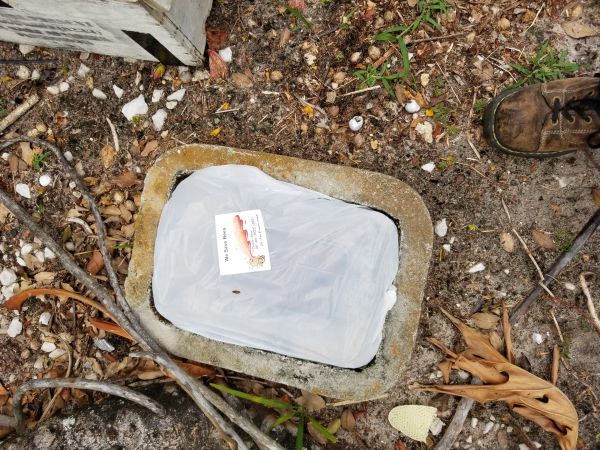 20180423_191644.jpg