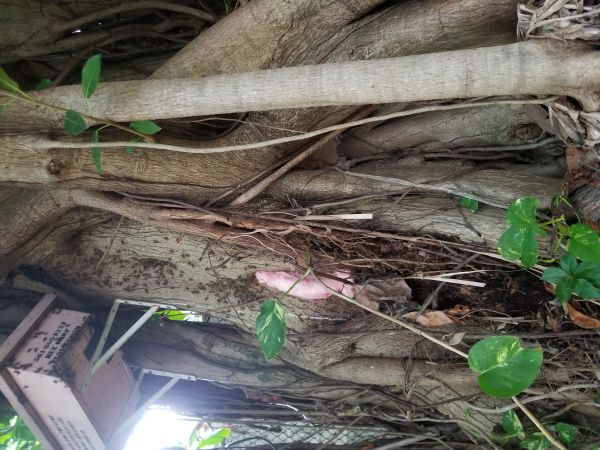 20180424_151906.jpg