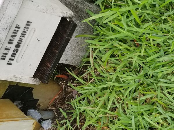 20180424_172637.jpg