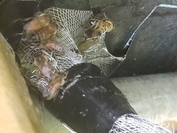 20180424_172648.jpg