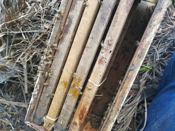 20180425_155100.jpg